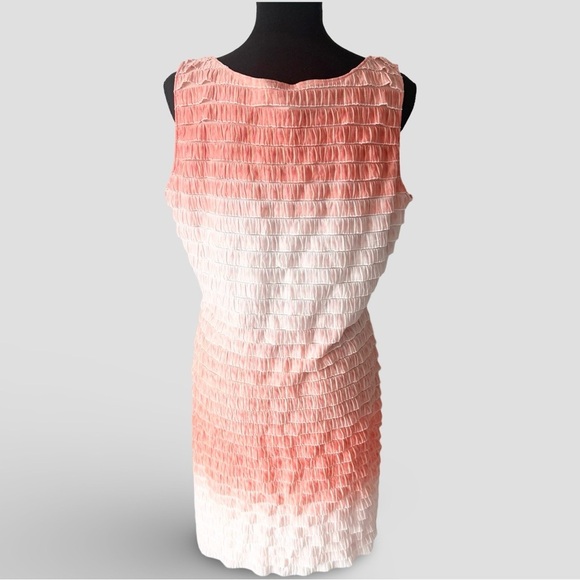 Bianca Nygard Sleeveless Ombre Tiered Ruffled Tunic Mini Dress - Picture 3 of 13